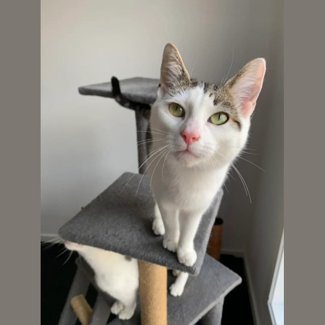 Photo of Perry & Parker 💙🌷