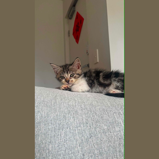 Photo of Melo
