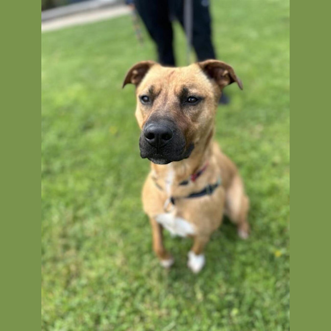 Photo of Nova