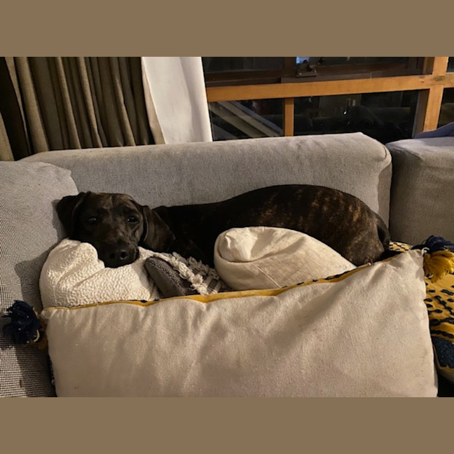 Photo of Elsa