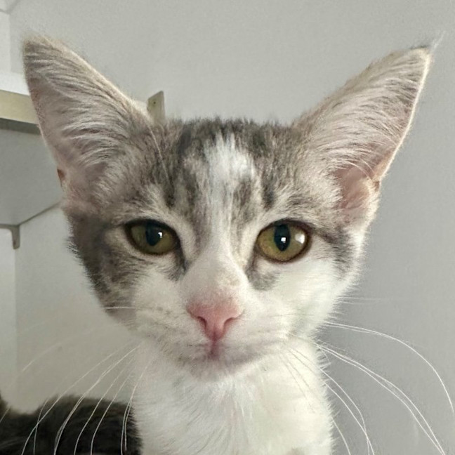 Photo of Esme