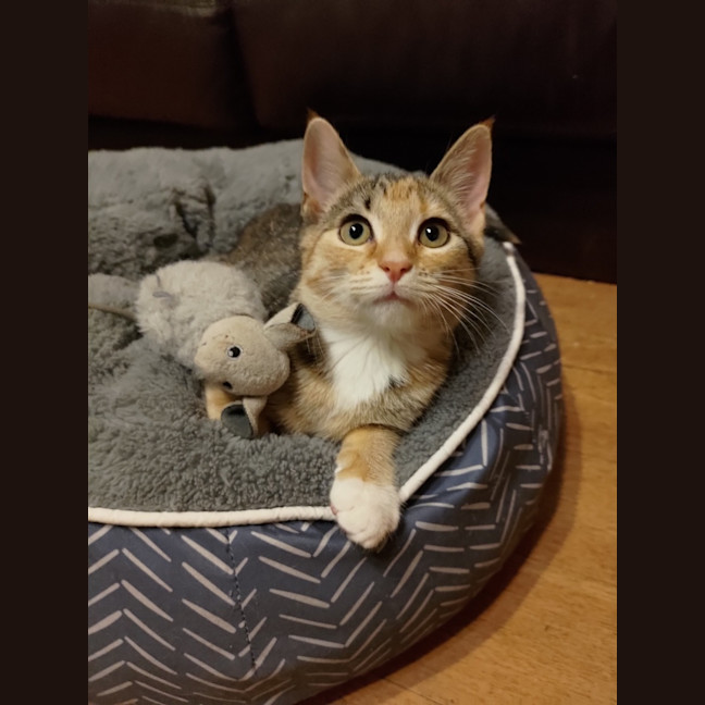Photo of Wendy