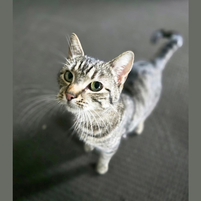 Photo of Artria