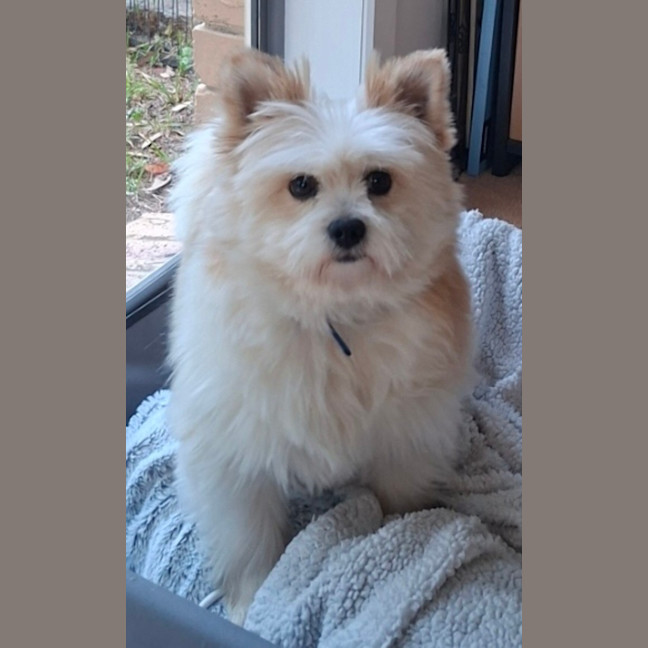 Photo of Bert