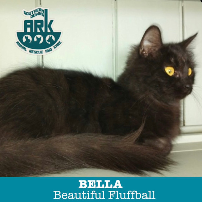 Photo of Bella
