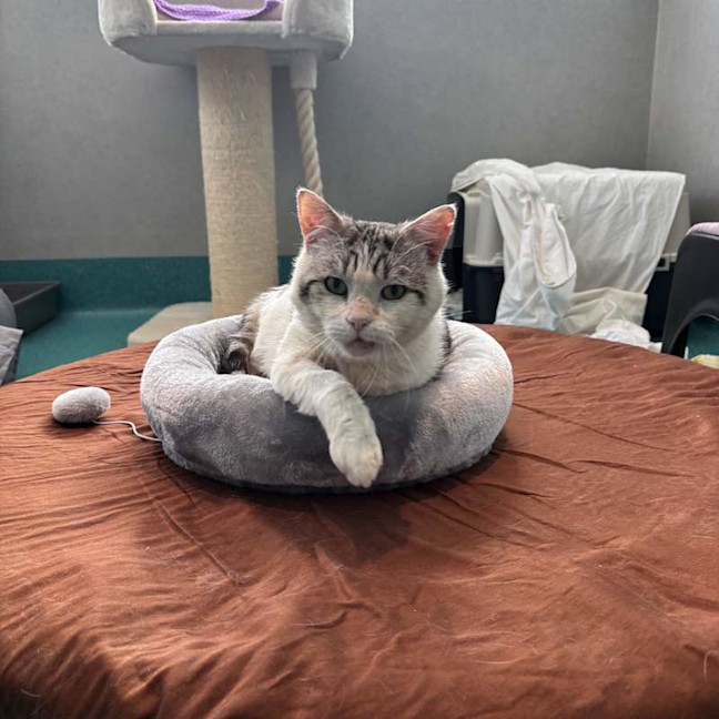 Photo of Dudley