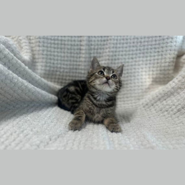 Photo of Steve