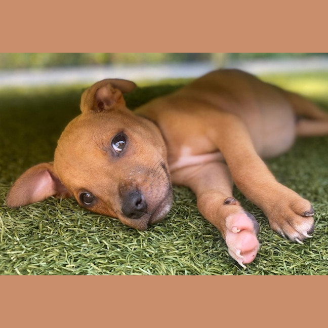 Photo of D1199 Winston