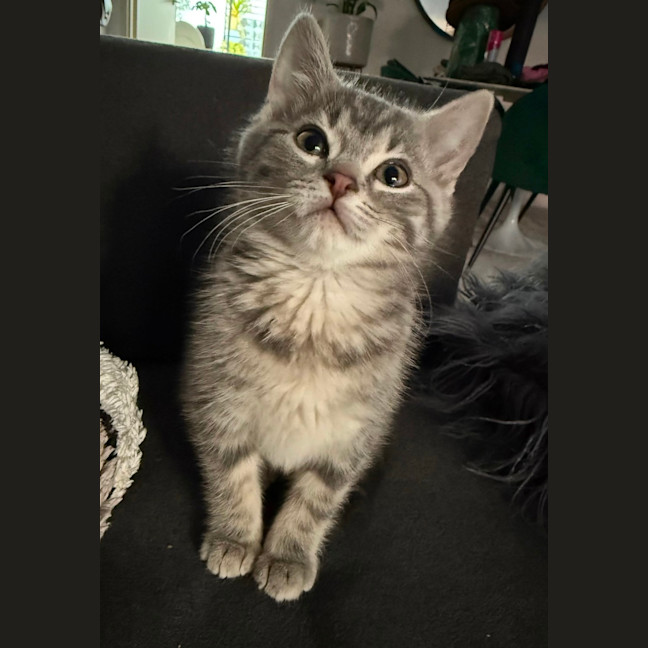 Photo of Umami And Dashi