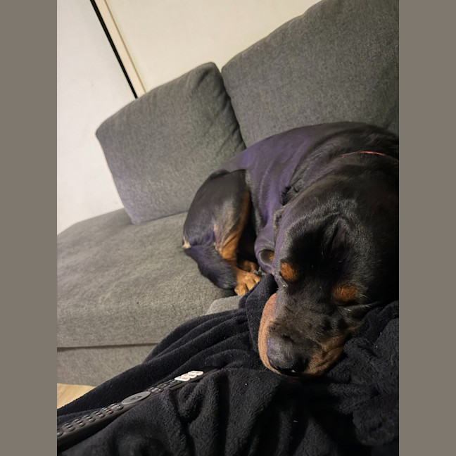 Photo of Onyx