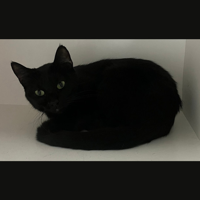 Photo of Merp (Previously Leanne) 