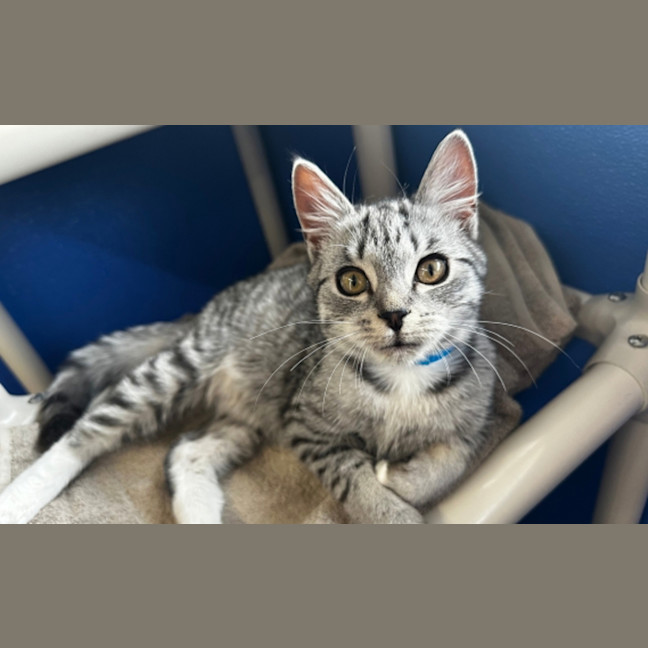 Photo of Leonardo