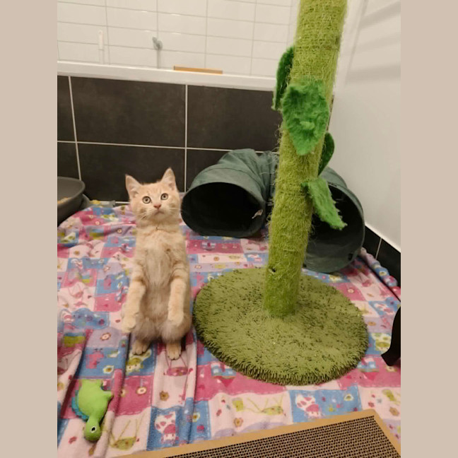Photo of Garthie