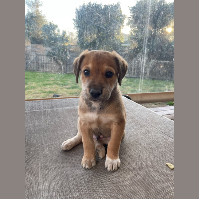Photo of Monty