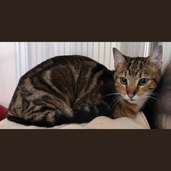 Photo of Uno