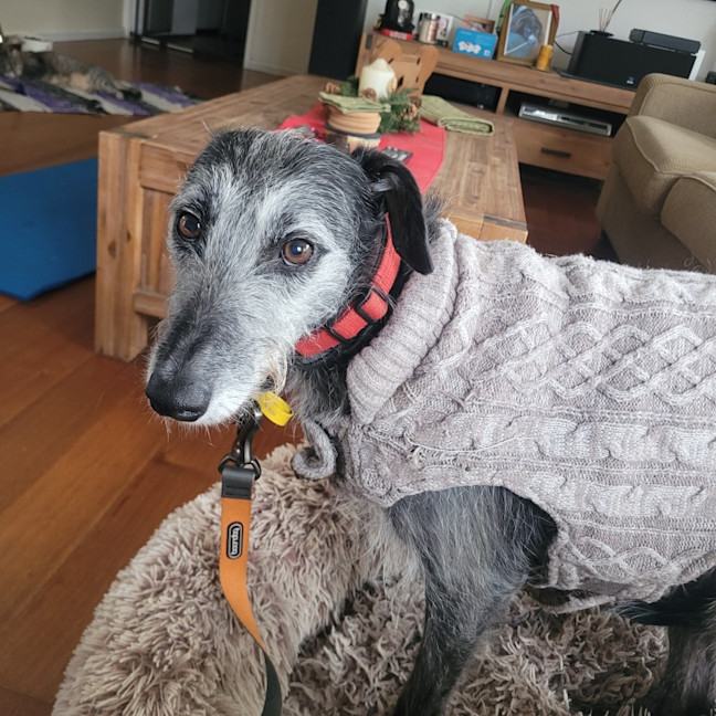Photo of Georgie