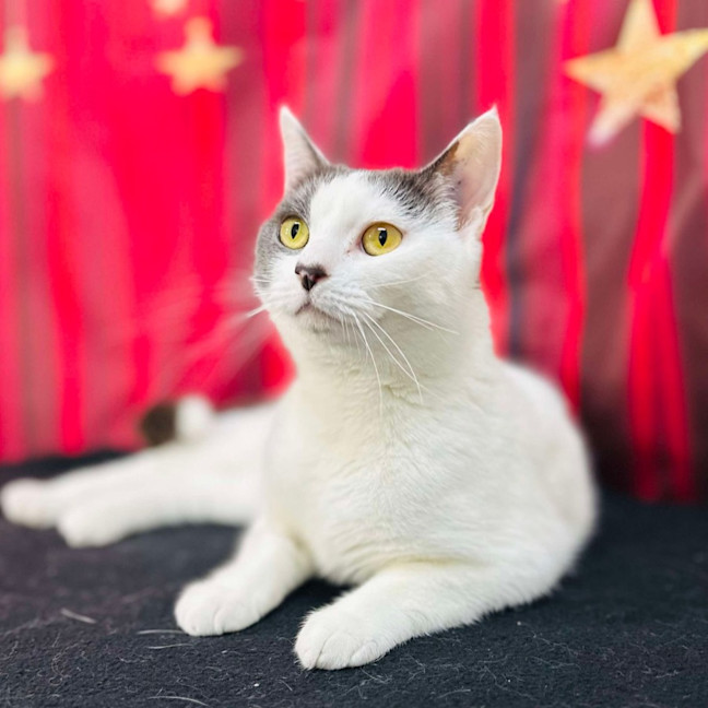 Photo of Coraline   Located In Preston