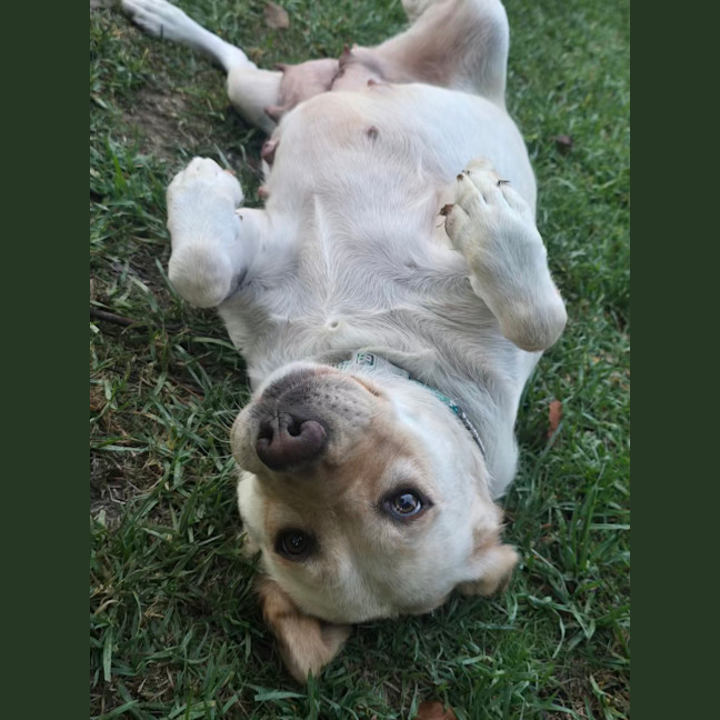 Photo of Hayleywaley