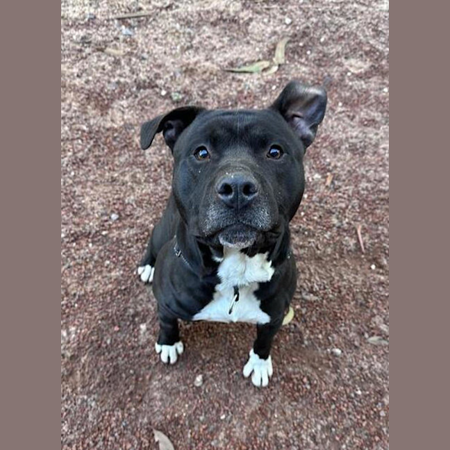 Photo of Tank