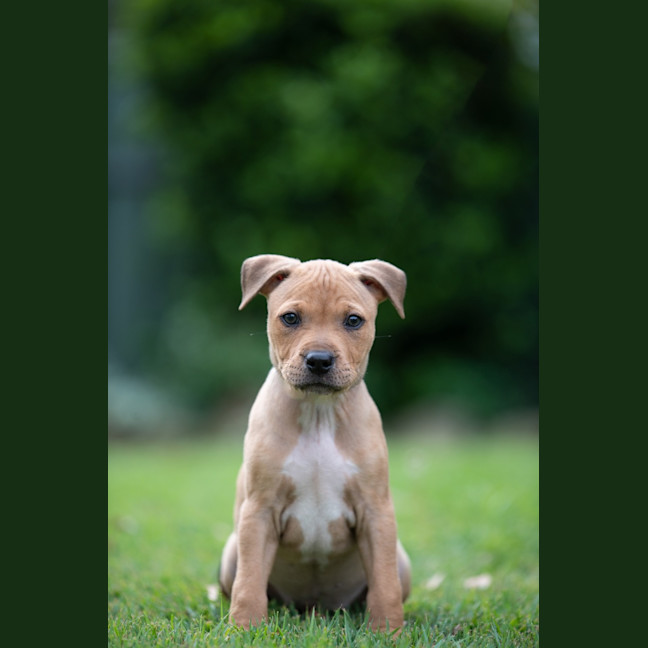 Photo of Nyla