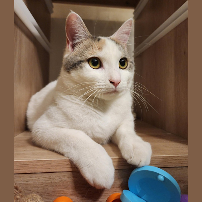 Photo of Bonnie   Located In Avondale Heights