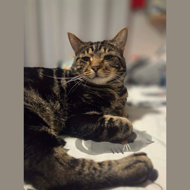 Photo of Buddy
