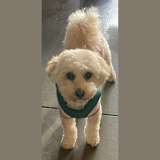 Photo of Molly