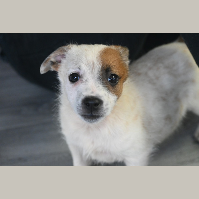 Photo of Thelma