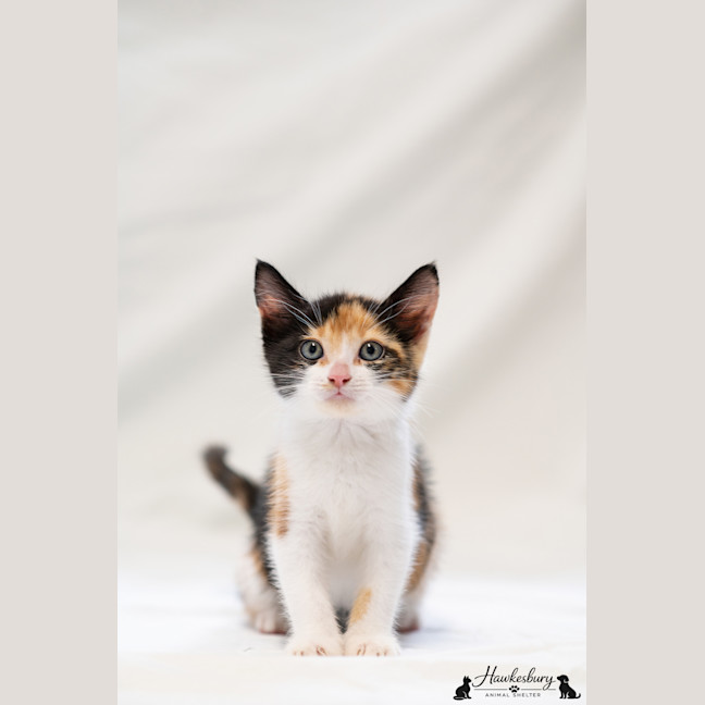 Photo of Celia