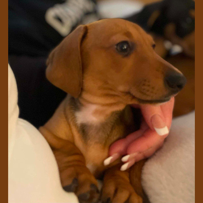 Photo of Crackle