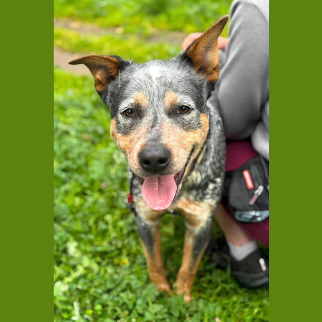 Photo of Wally 