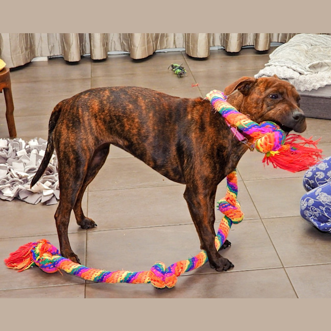 Photo of Coco Chanel