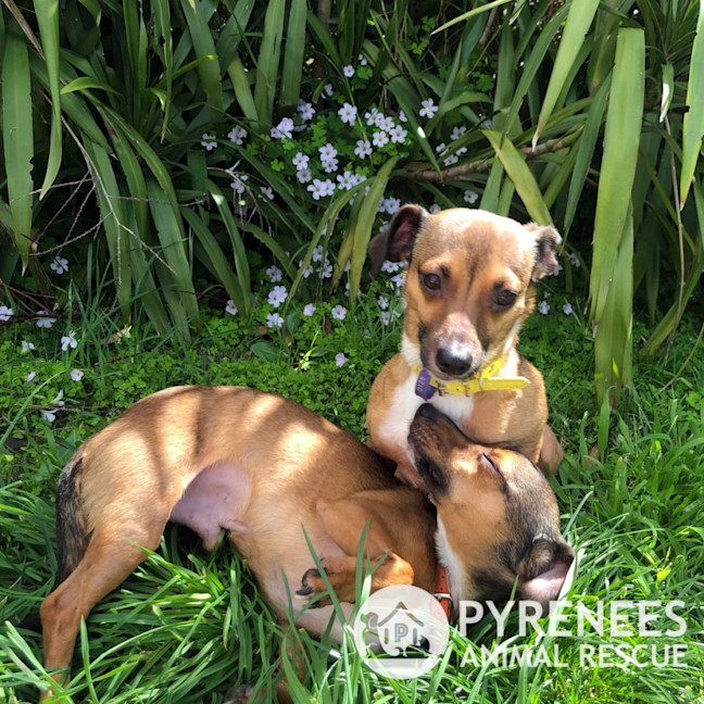 Photo of Bert And Ernie