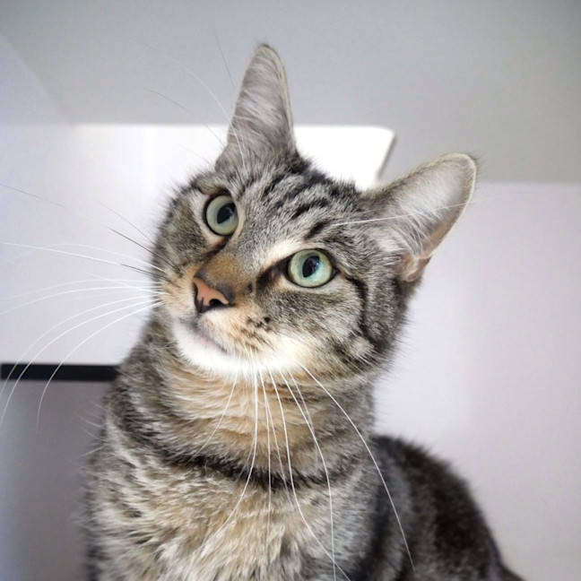 Photo of Fred Sua013133