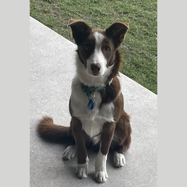 Photo of Colin