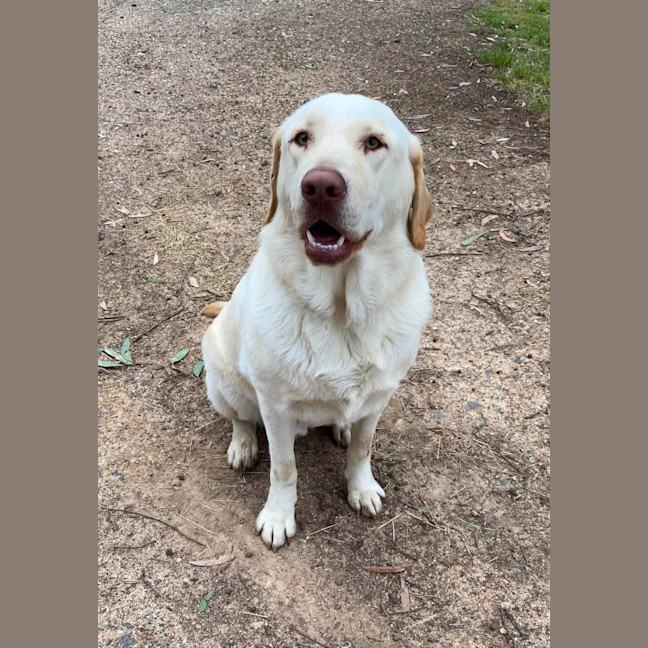 Photo of Max