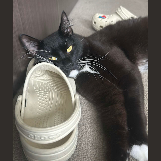 Photo of Daddy Mikey 