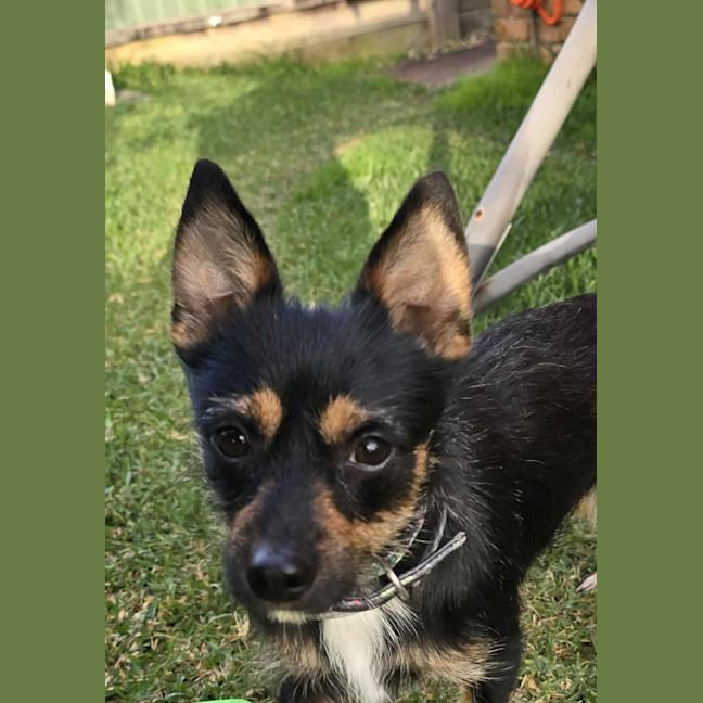 Photo of Ernie (8988)