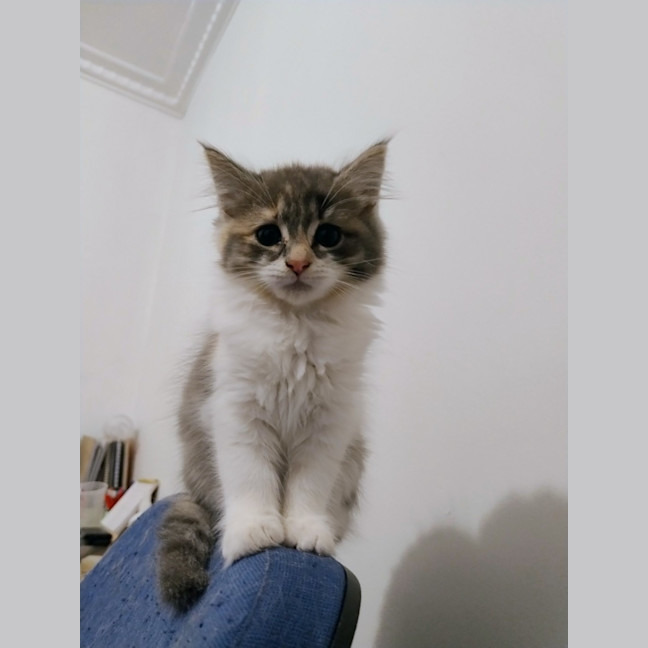 Photo of Elinor