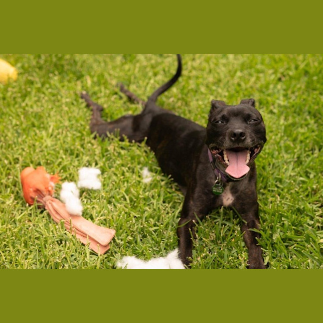 Photo of Beatrice Lozano