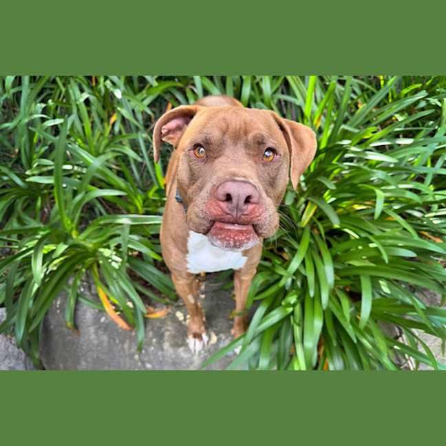 Photo of Turbo