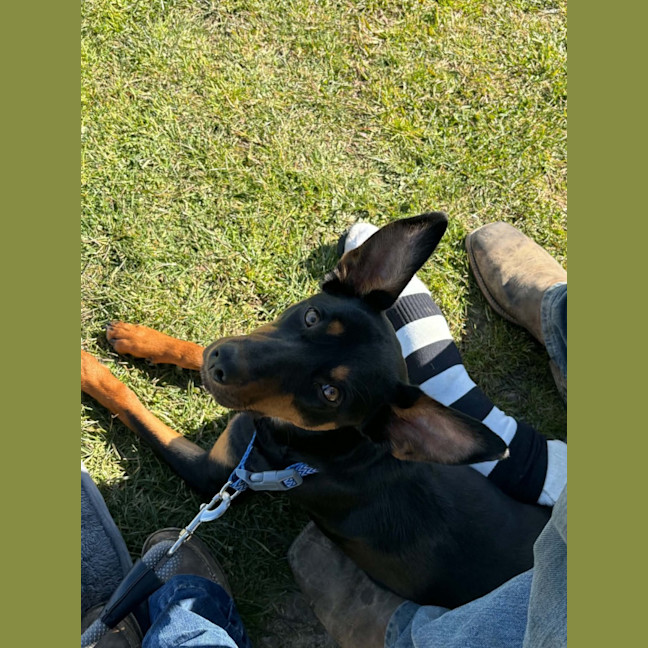 Photo of Oakley