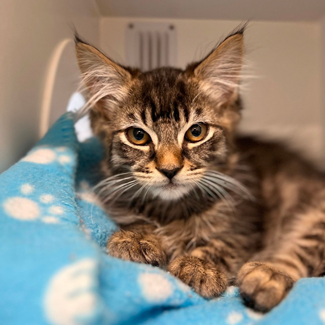 Photo of Bonnie & Clyde