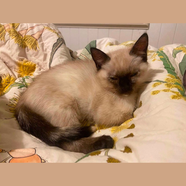 Photo of Quinnie