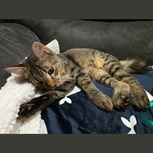 Photo of Quaza