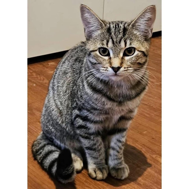 Photo of 11900   April