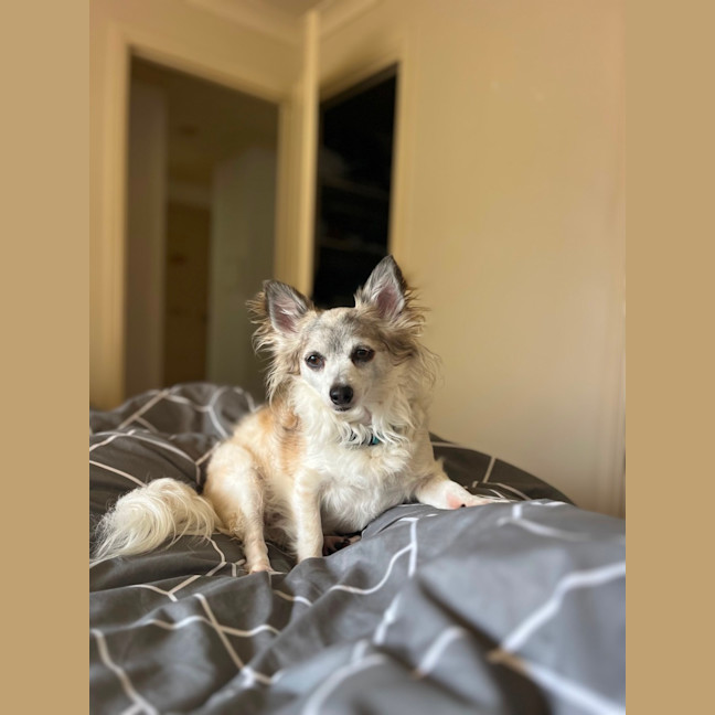 Photo of Obe