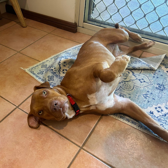 Photo of Tess