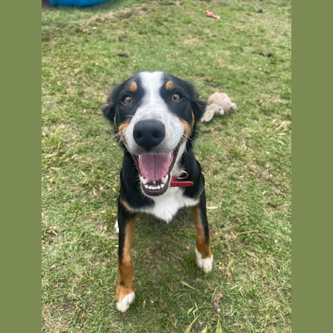 Photo of Bella
