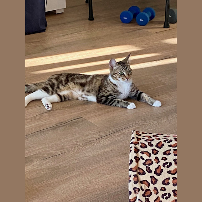 Photo of Bonny